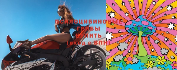 соль ск Медногорск