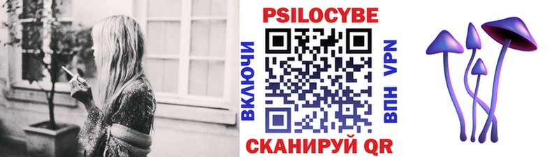 Псилоцибиновые грибы Magic Shrooms  Купить закладки  Сосновка 
